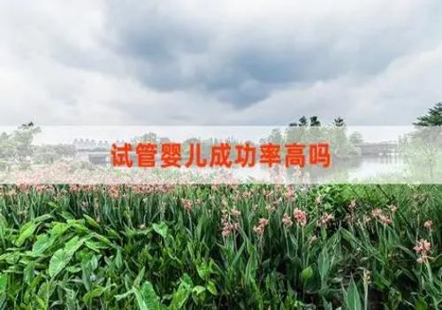 婴儿抚触居然如此重要？新生儿抚触对婴儿发育的重要性