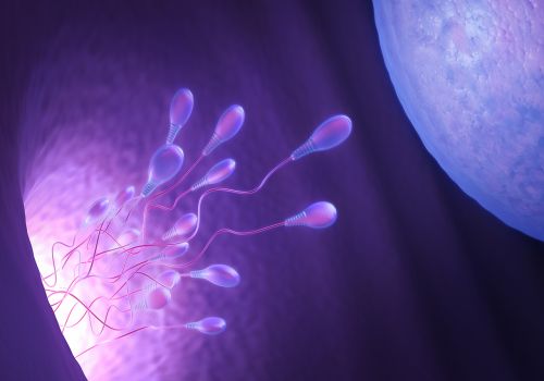扬州市妇幼保健院试管婴儿有哪些怀孕攻略：了解提高成功的关键原因